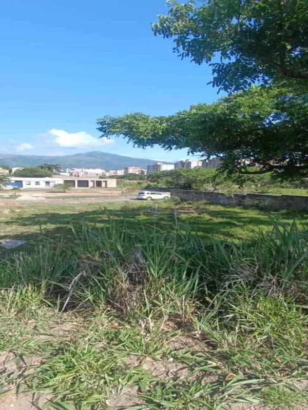 Inversión